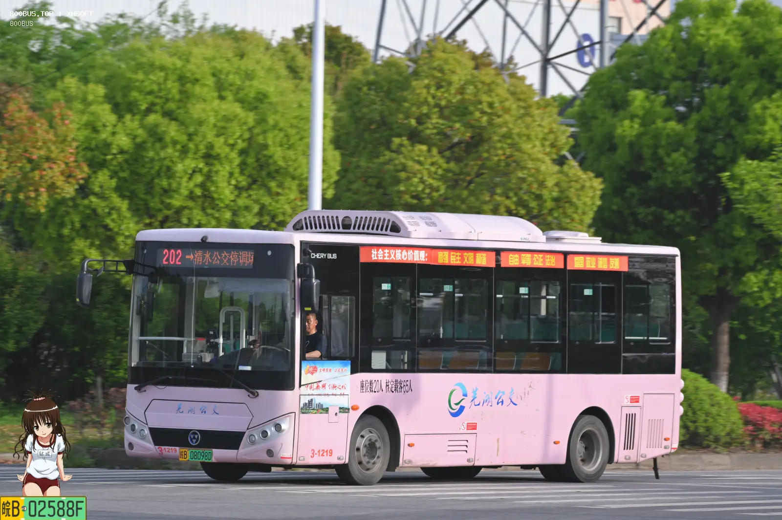 Bus Archive