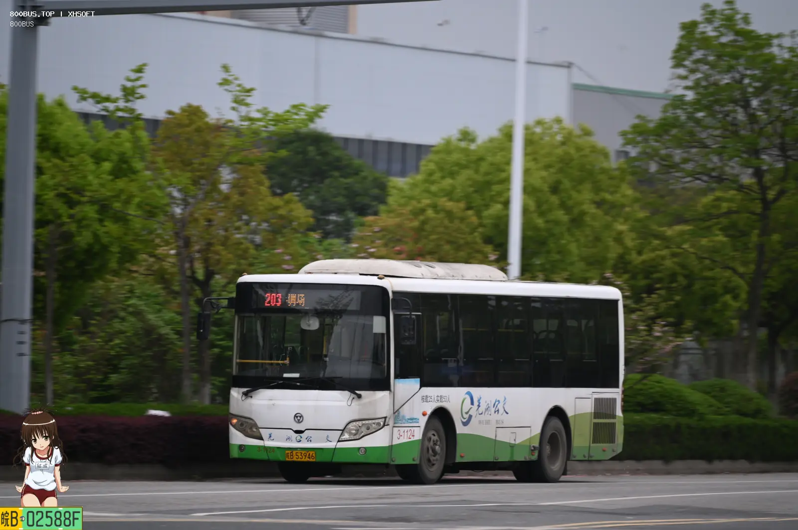 Bus Archive