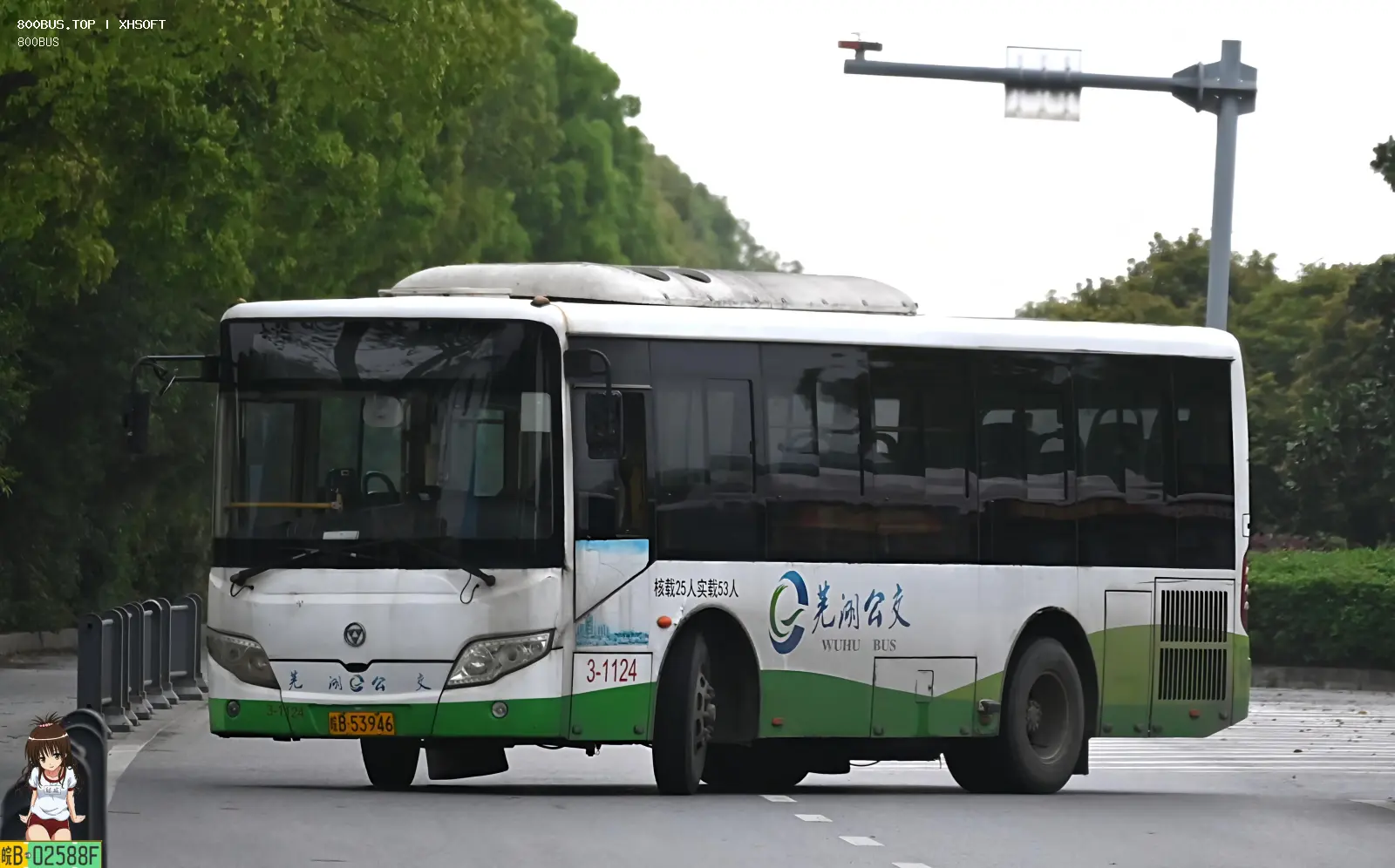Bus Archive