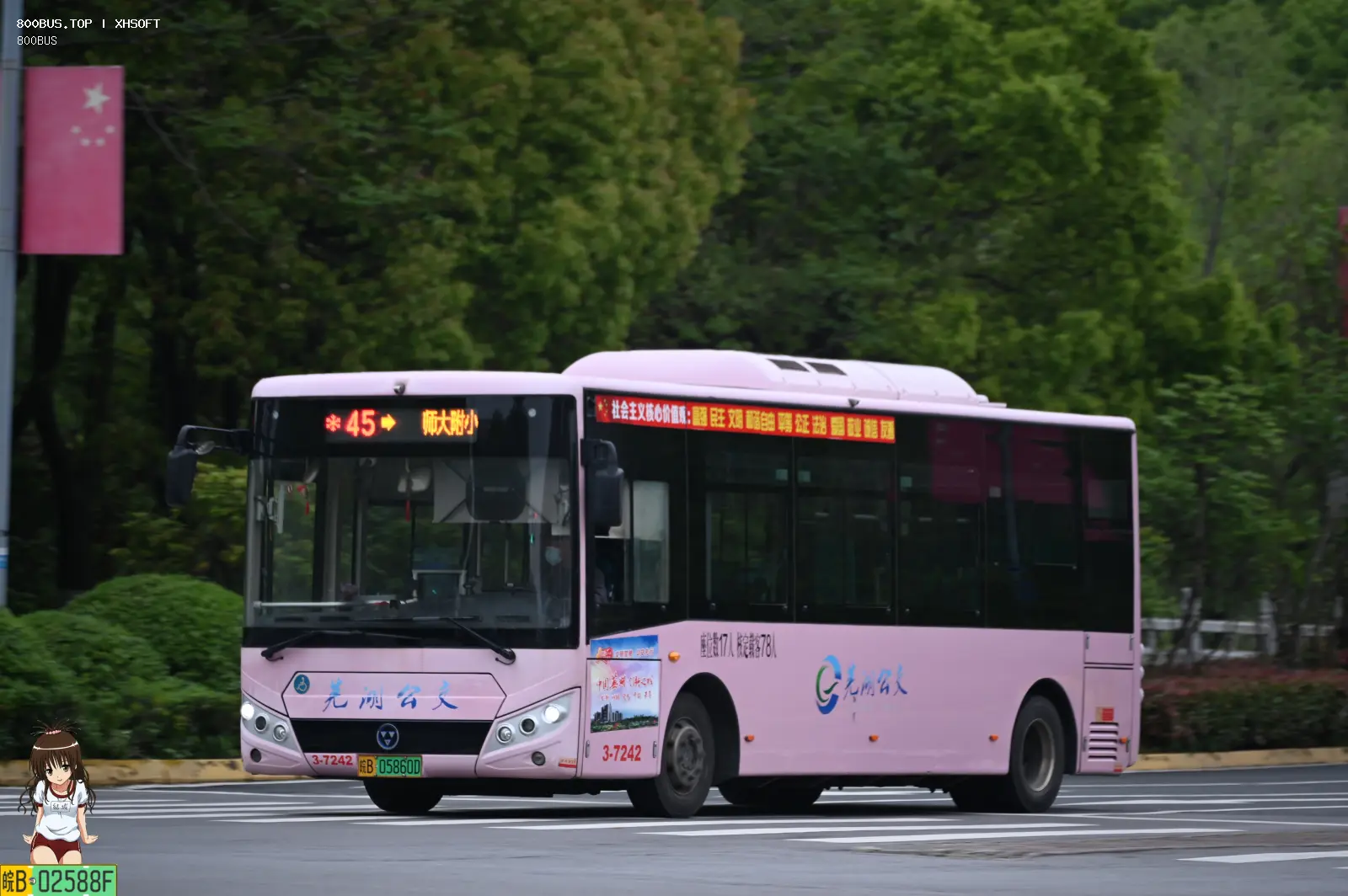 Bus Archive