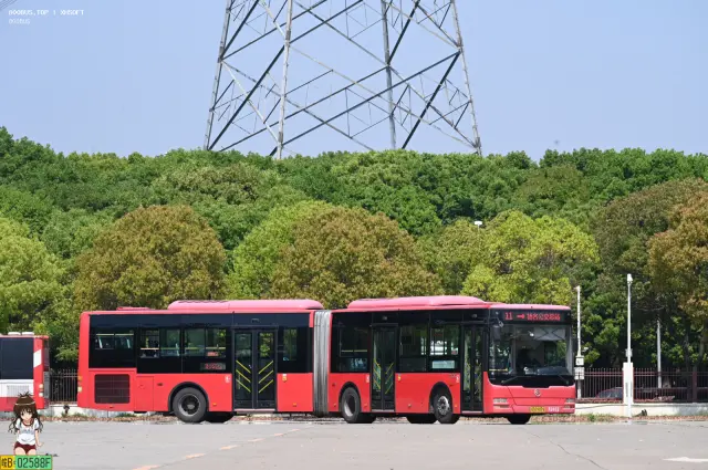 800BUS