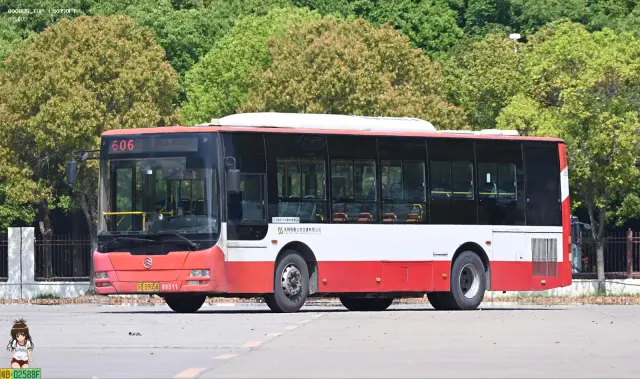 800BUS