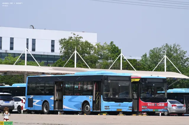 800BUS