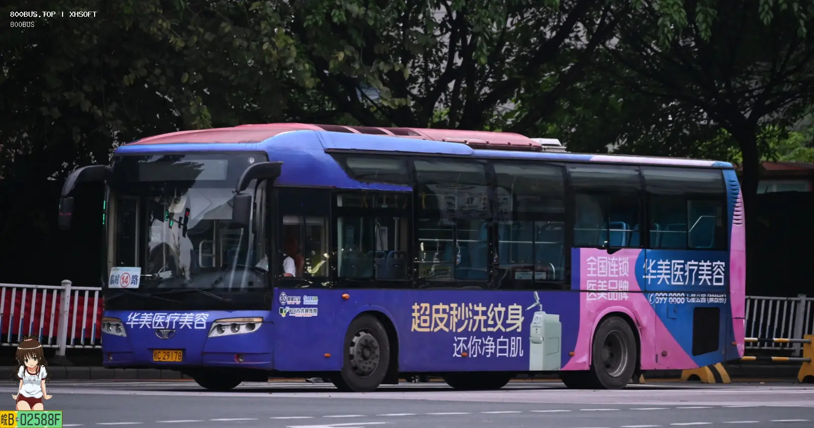 Bus Archive