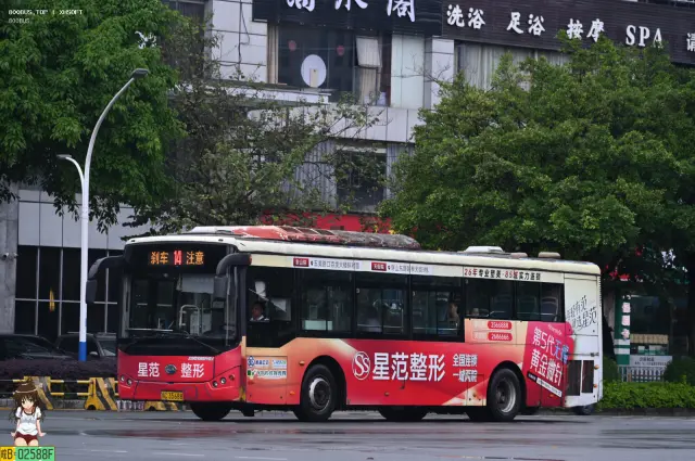 800BUS