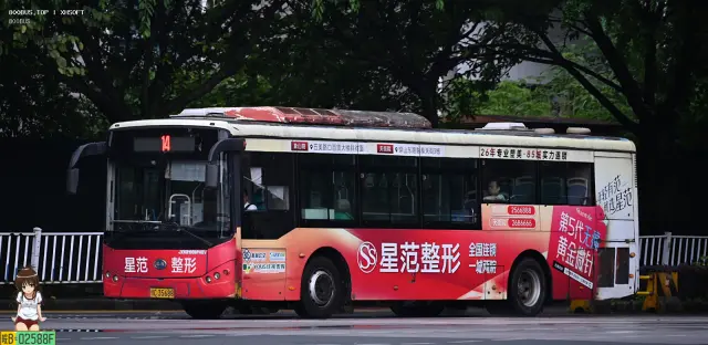 800BUS