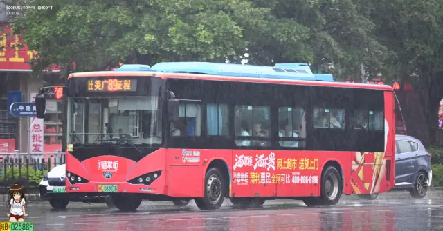 桂C 08303D