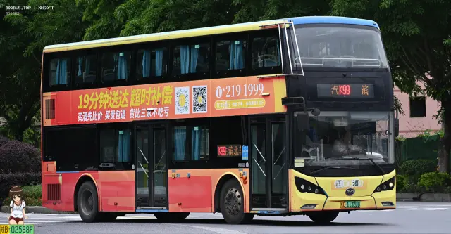 800BUS