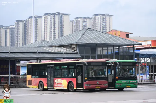 800BUS
