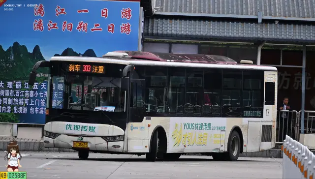 800BUS