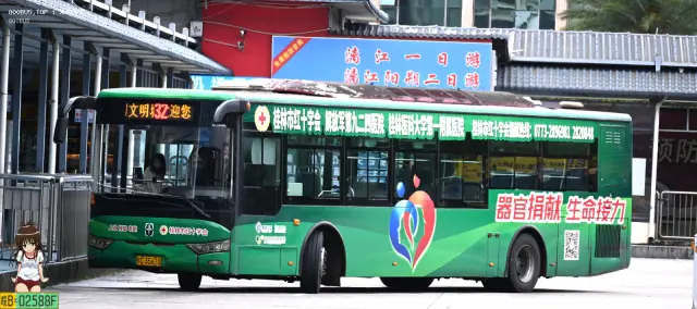 800BUS