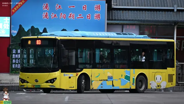 800BUS