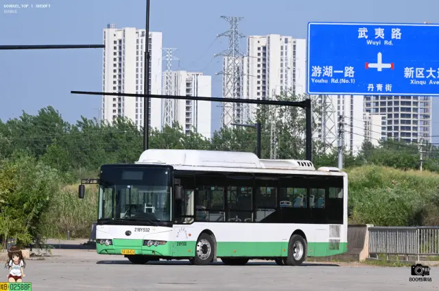 800BUS