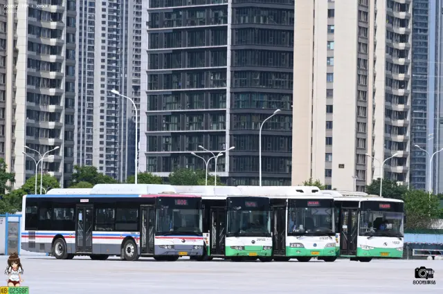 鄂A JV420 鄂A UA424 鄂A VH411 鄂A CP684