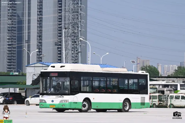 800BUS