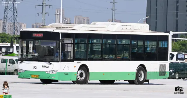 鄂A CP684