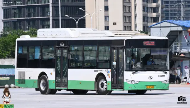 鄂A CP684