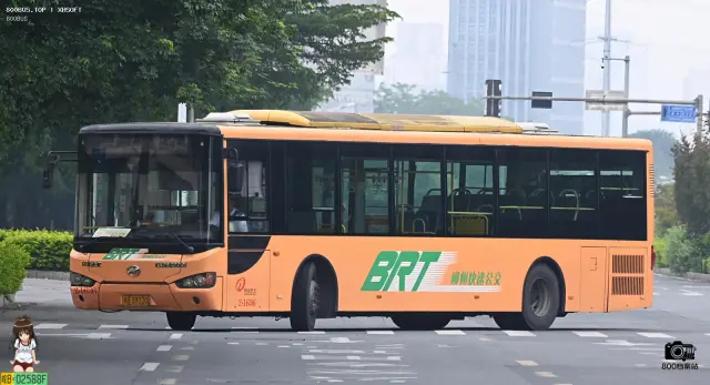 800BUS