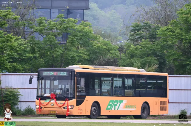 800BUS