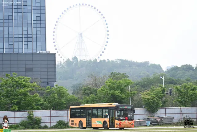 800BUS