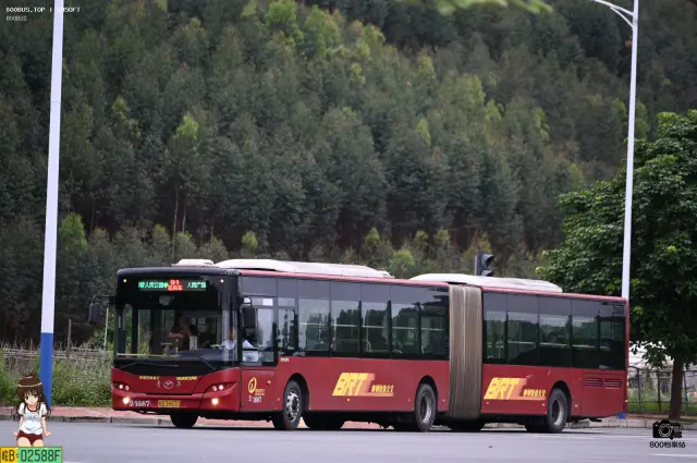 800BUS