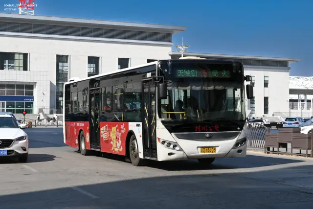 800BUS