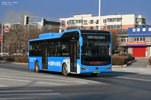 800BUS