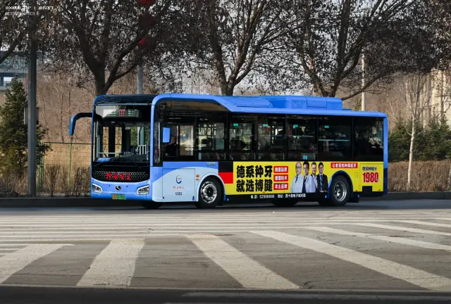 800BUS