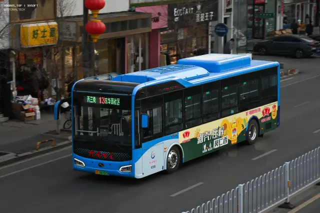 800BUS