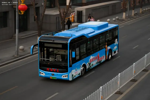 800BUS
