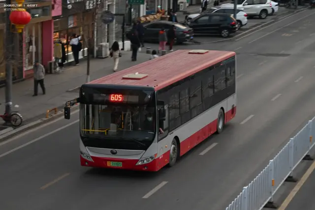 800BUS