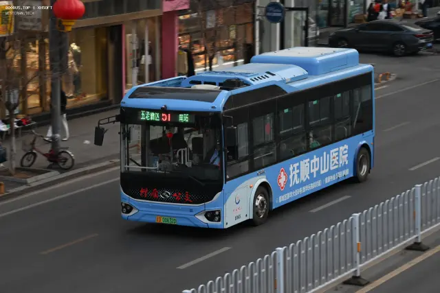 800BUS