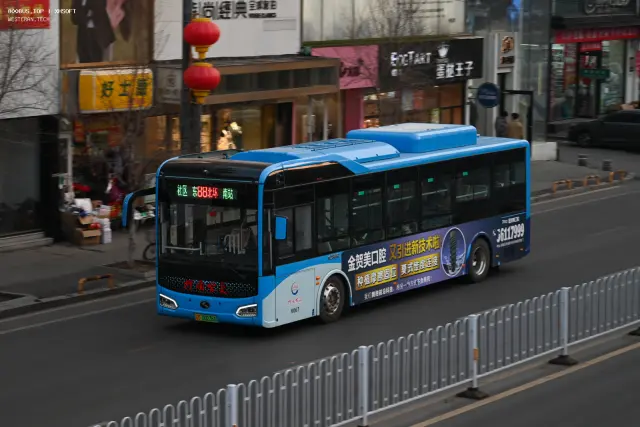 800BUS