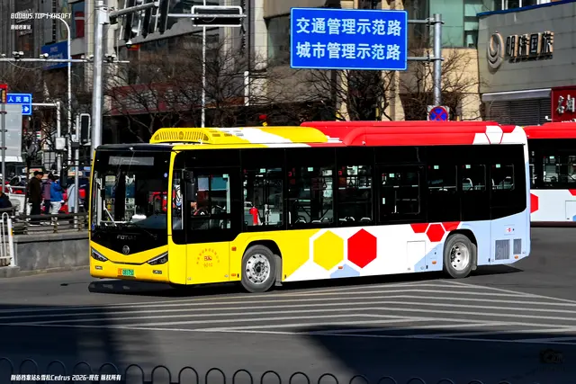 800BUS