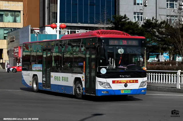 800BUS
