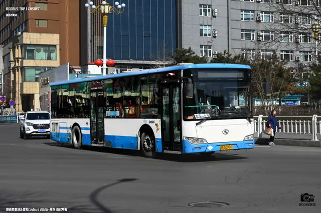 800BUS