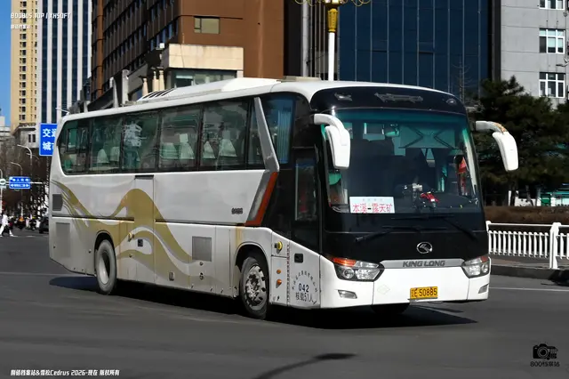 800BUS