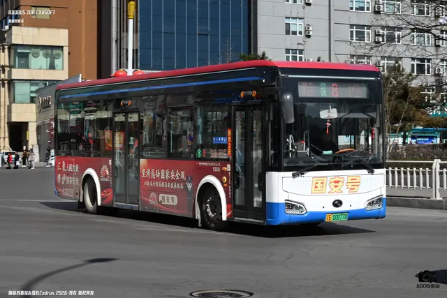 800BUS