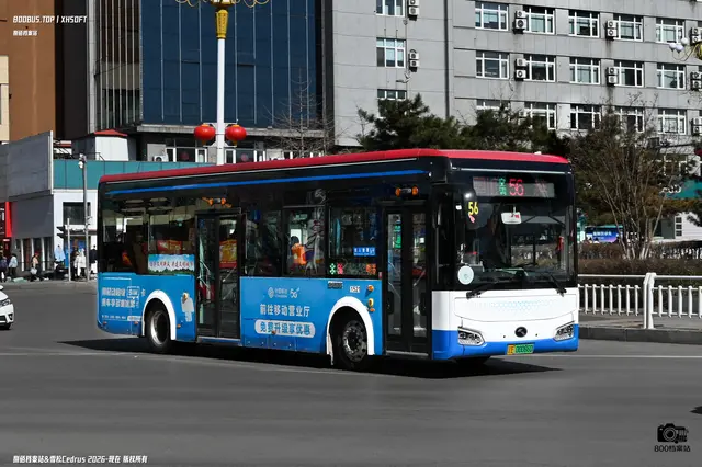 800BUS
