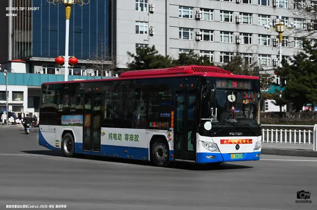 800BUS