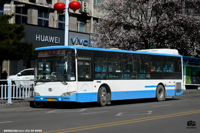 800BUS