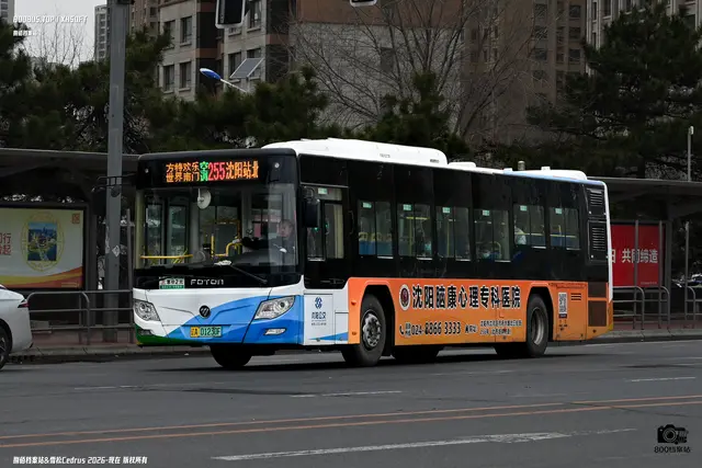 800BUS