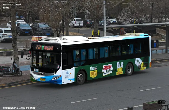 800BUS