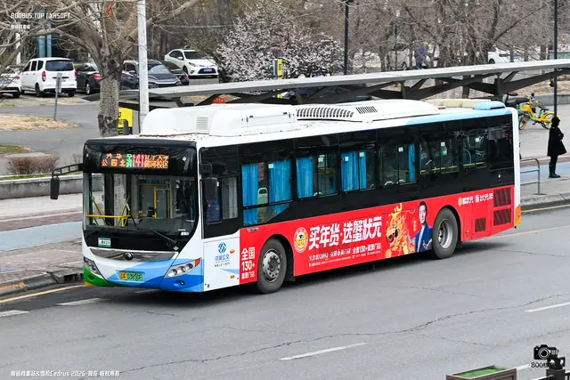 800BUS