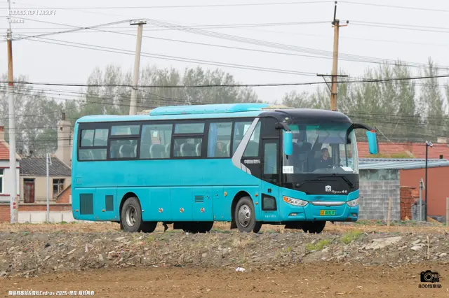 800BUS