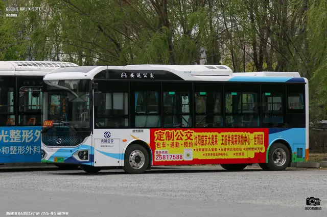 800BUS