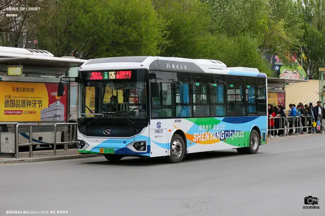 800BUS