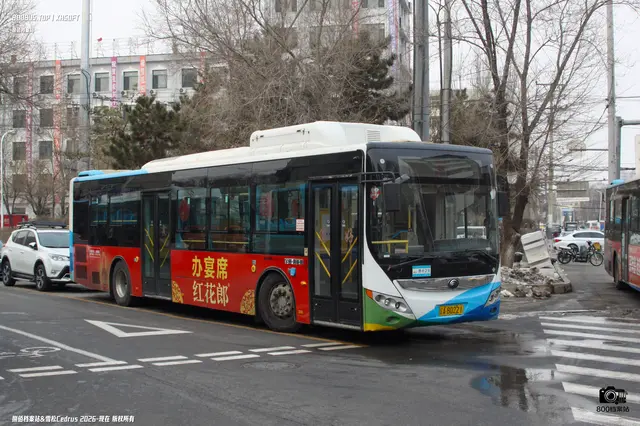 800BUS