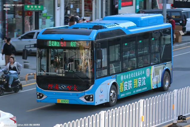 800BUS