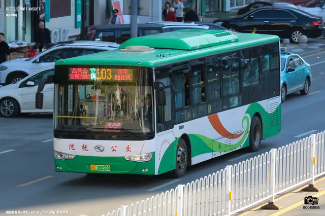 800BUS